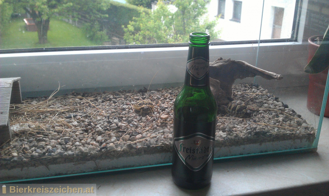 Foto eines Bieres der Marke Freistdter Mrz`n aus der Brauerei Braucommune in Freistadt