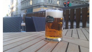 Starobrno Řezk (Premium Lager)