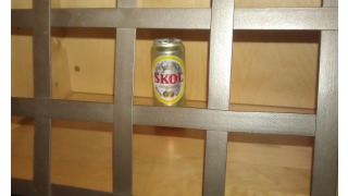 Skol International