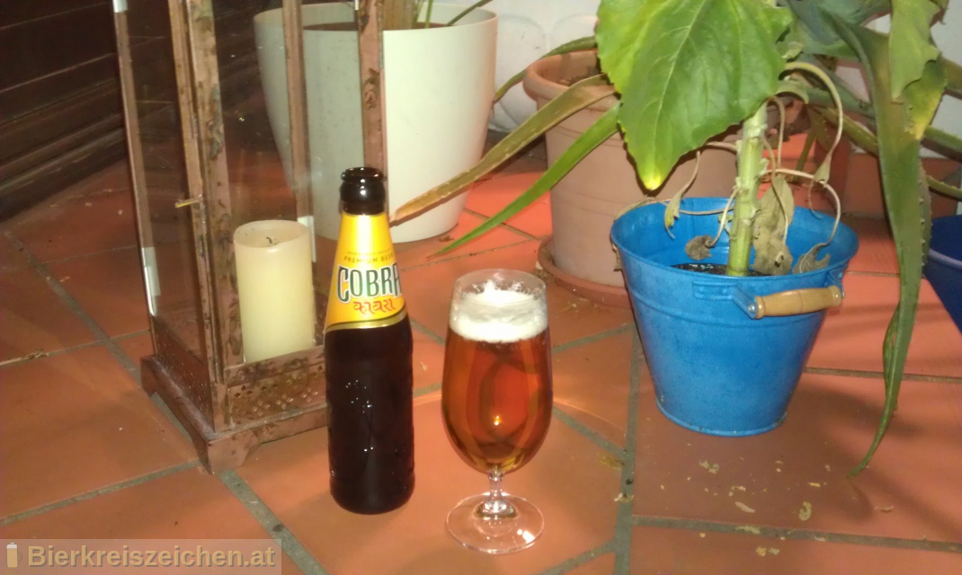 Foto eines Bieres der Marke Cobra Premium Beer aus der Brauerei Molson Coors Brewing Company (UK) Limited