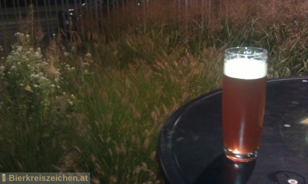Foto eines Bieres der Marke Bierzauberei Triple-Magnum-Super-Bitter-Quassia-Ale aus der Brauerei Bierzauberei®