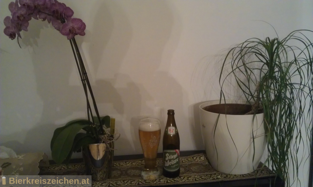 Foto eines Bieres der Marke Stiegl Weisse Hollunder-Radler aus der Brauerei Stieglbrauerei