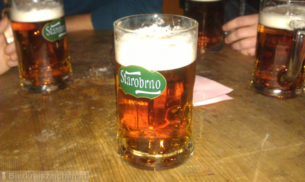 Foto eines Bieres der Marke Starobrno Řezák (Premium Lager) aus der Brauerei Pivovar Starobrno