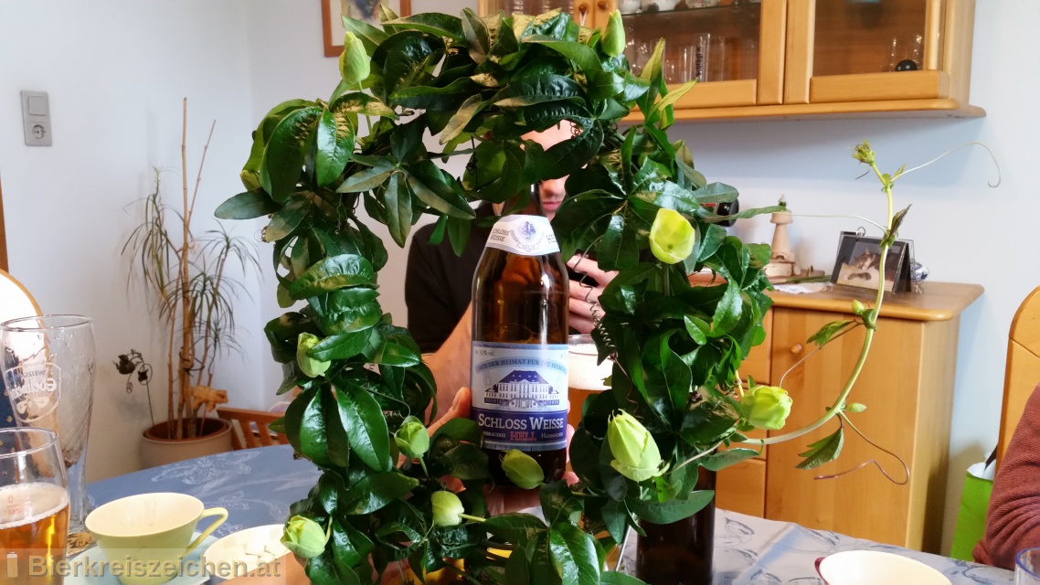 Foto eines Bieres der Marke Schlo-Weisse aus der Brauerei Schlobrauerei Haimhausen