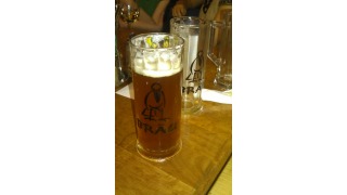 Bild von Bettelstudent - Hausbier Dunkel