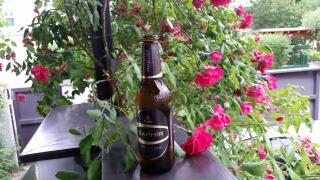 Bild von Saphir - Premium Pils