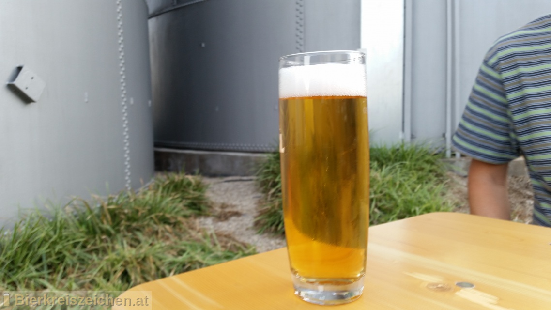 Foto eines Bieres der Marke Batzen Pils aus der Brauerei Batzenbru