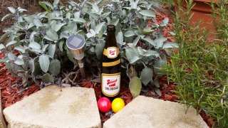 Bild von Stiegl Goldbru