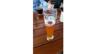 Paulaner Hefe-Weibier Naturtrb