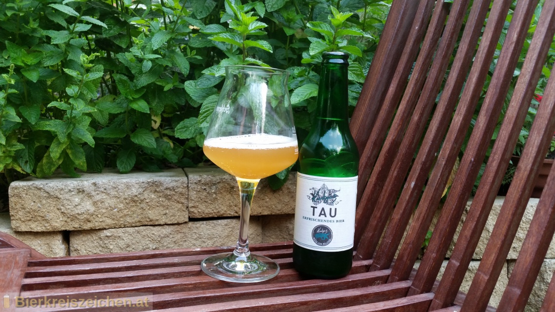 Foto eines Bieres der Marke Kiesbye's TAU aus der Brauerei Kiesbye