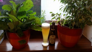 Zwettler Young Symphony - Witbier