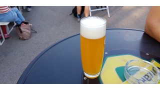 466 DDH Pale Citra