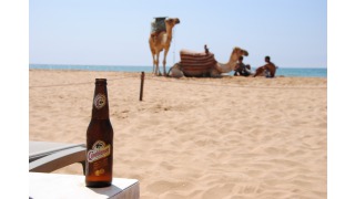 Casablanca Premium Beer