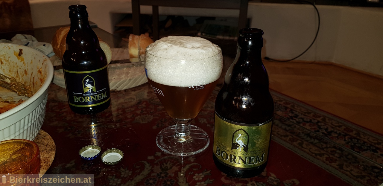 Foto eines Bieres der Marke Bornem Tripel aus der Brauerei Brouwerij Van Steenberge