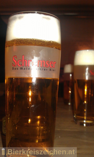 Foto eines Bieres der Marke Schremser Premium aus der Brauerei Brauerei Schrems