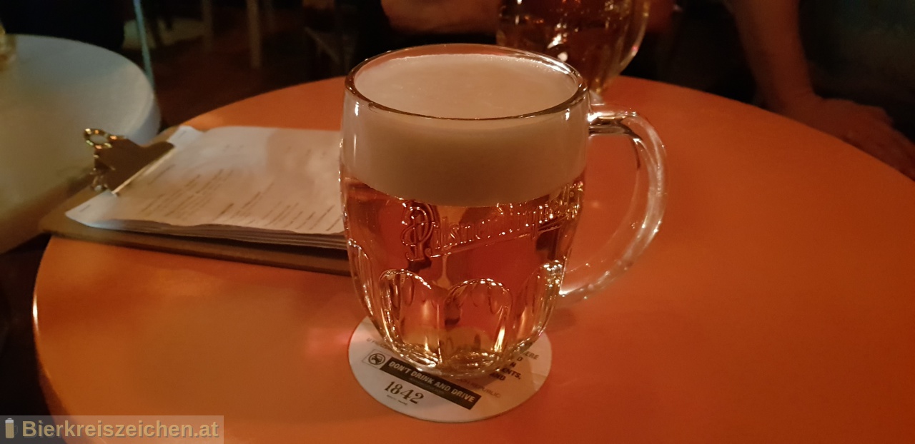 Foto eines Bieres der Marke Pilsner Urquell aus der Brauerei Plzensky Prazdroj