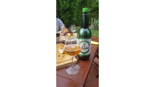 Bild von Birra Tirana Premium Pils