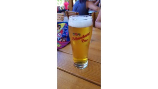 Bild von Schwechater Bier