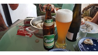 Gsser NaturWeizen