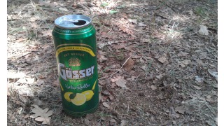 Gsser NaturRadler