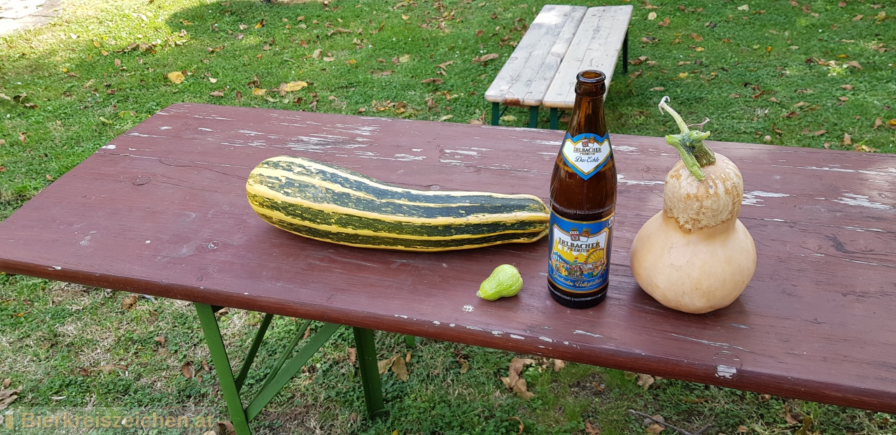 Foto eines Bieres der Marke Irlbacher Guboden Volksfestbier aus der Brauerei Schlossbrauerei Irlbach