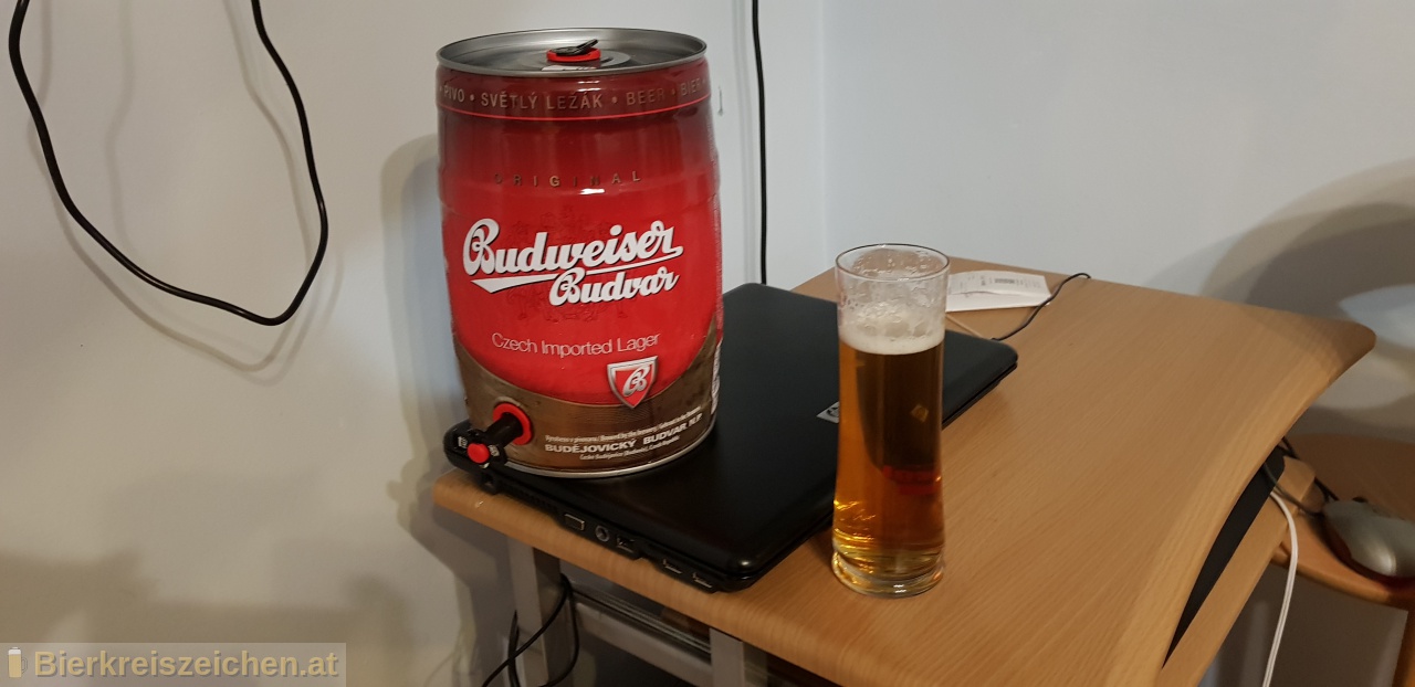 Foto eines Bieres der Marke Budweiser Original aus der Brauerei Budweiser Budvar