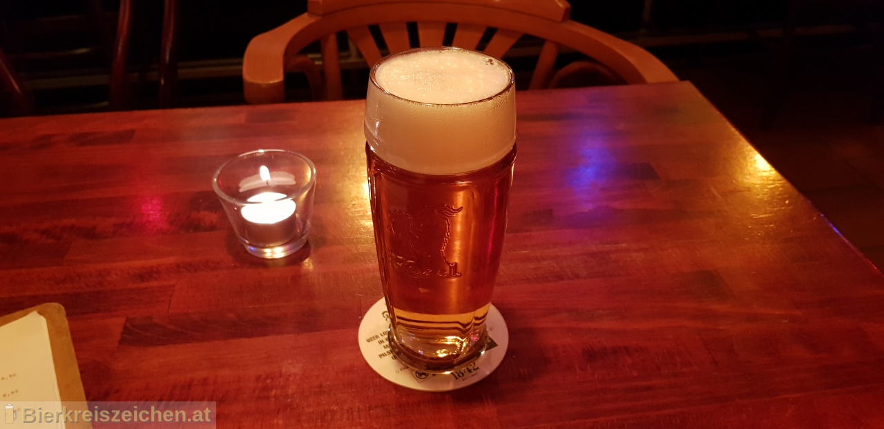 Foto eines Bieres der Marke Velkopopovick Kozel Premium aus der Brauerei Brauerei Popovice