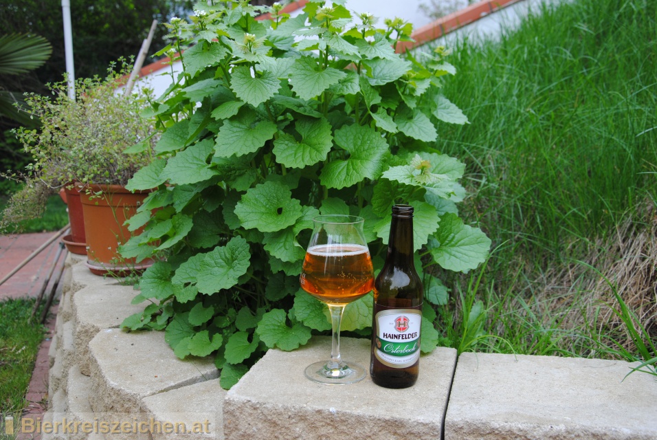 Foto eines Bieres der Marke Hainfelder Osterbock aus der Brauerei Brauerei Hainfeld