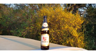 Bild von Stiegl Goldbru