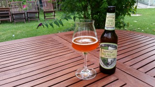 Bild von Zwnitzer India Pale Ale