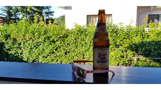 Stiegl Goldbru