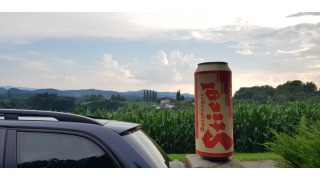 Bild von Stiegl Goldbru