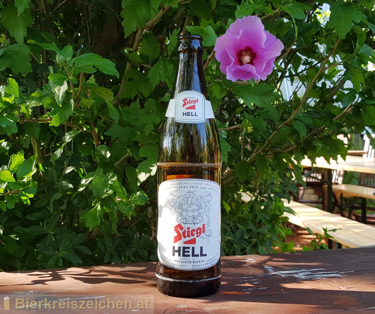 Foto eines Bieres der Marke Stiegl Hell aus der Brauerei Stieglbrauerei