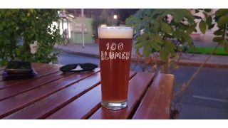 1020 - Wiener Lager