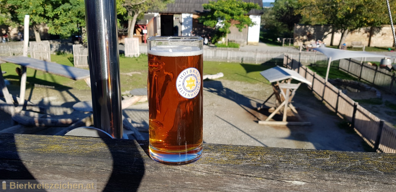 Foto eines Bieres der Marke Kaltenhauser Original aus der Brauerei Hofbru Kaltenhausen