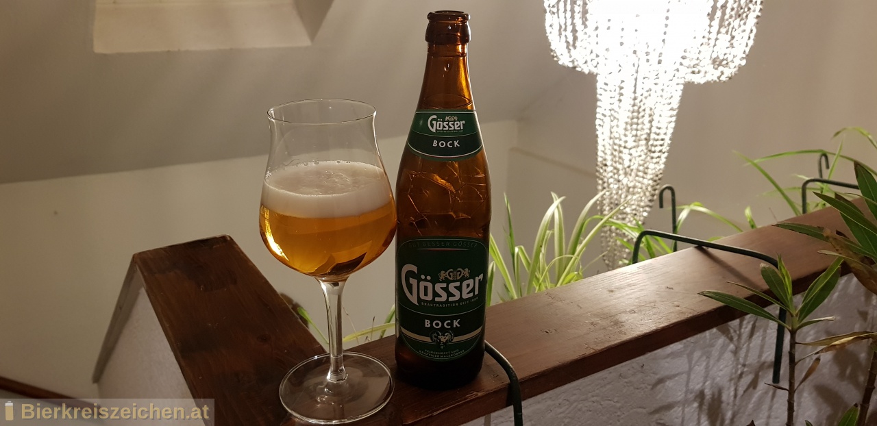 Foto eines Bieres der Marke Gsser Bock aus der Brauerei Brauerei Gss