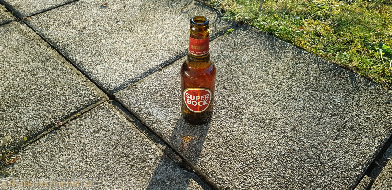 Foto eines Bieres der Marke Super Bock aus der Brauerei Super Bock