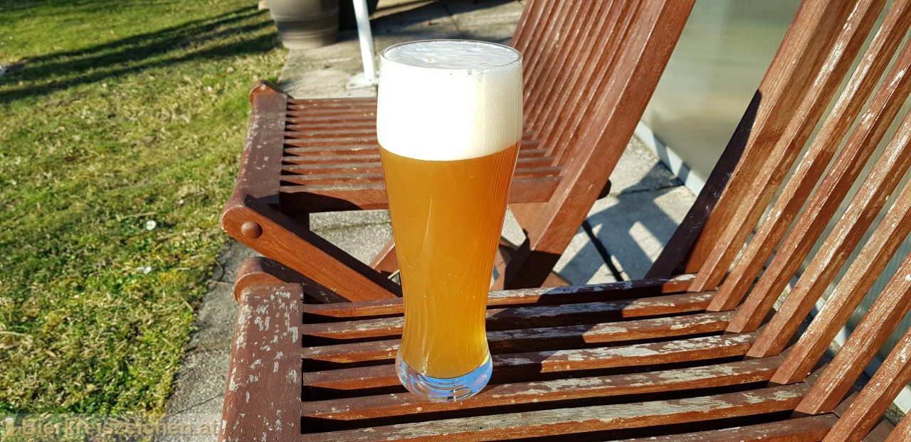 Foto eines Bieres der Marke Bergknig Hefeweisse aus der Brauerei Hofer