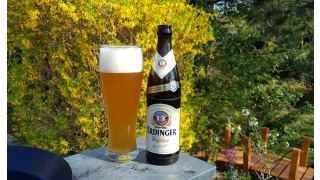 Bild von Erdinger Weibier