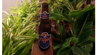 Bild von Tiger Beer