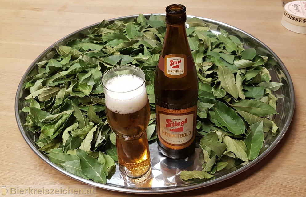 Foto eines Bieres der Marke Stiegl Herbstgold aus der Brauerei Stieglbrauerei