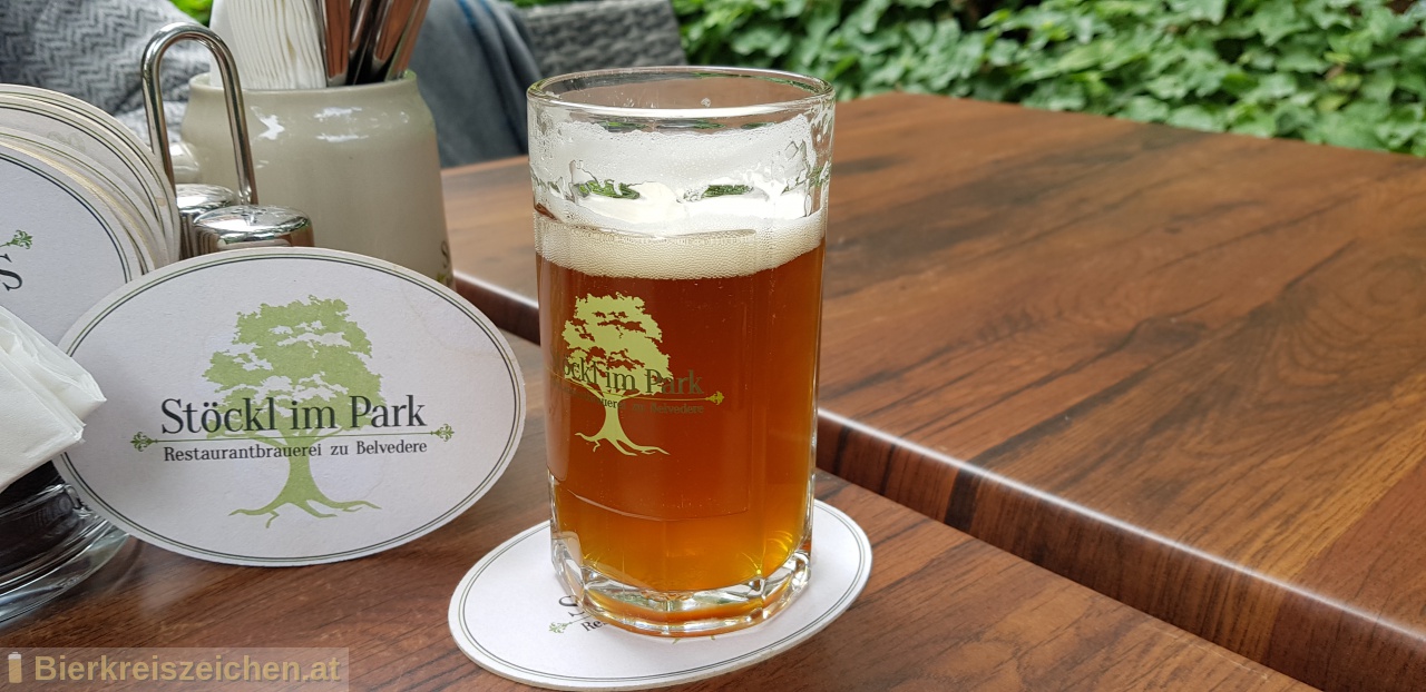 Foto eines Bieres der Marke Stckl Pale Ale aus der Brauerei Stckl im Park