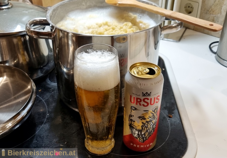 Foto eines Bieres der Marke Ursus aus der Brauerei Ursus