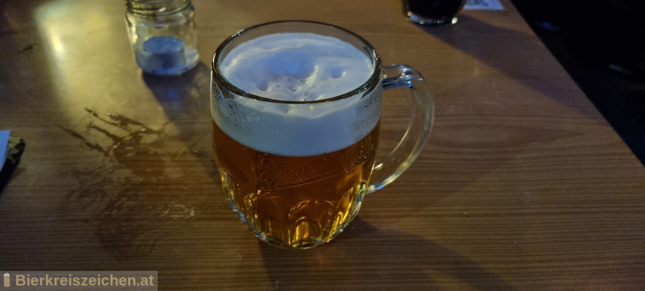 Foto eines Bieres der Marke Pilsner Urquell aus der Brauerei Plzensky Prazdroj