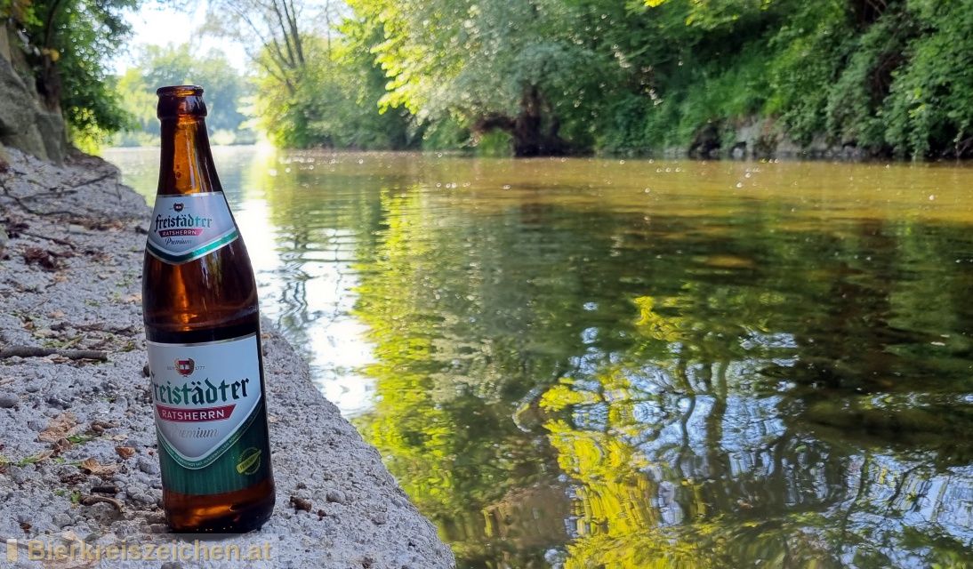 Foto eines Bieres der Marke Freistdter Ratsherrn Premium aus der Brauerei Braucommune in Freistadt
