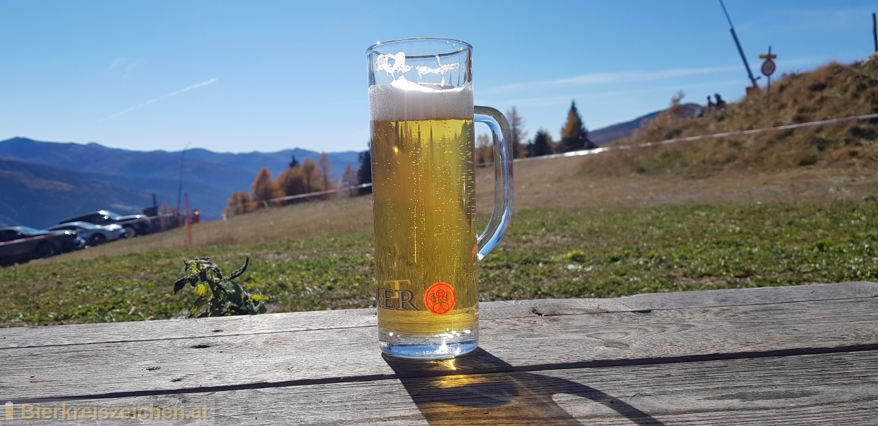 Foto eines Bieres der Marke Trumer Mrzen aus der Brauerei Trumer Privatbrauerei