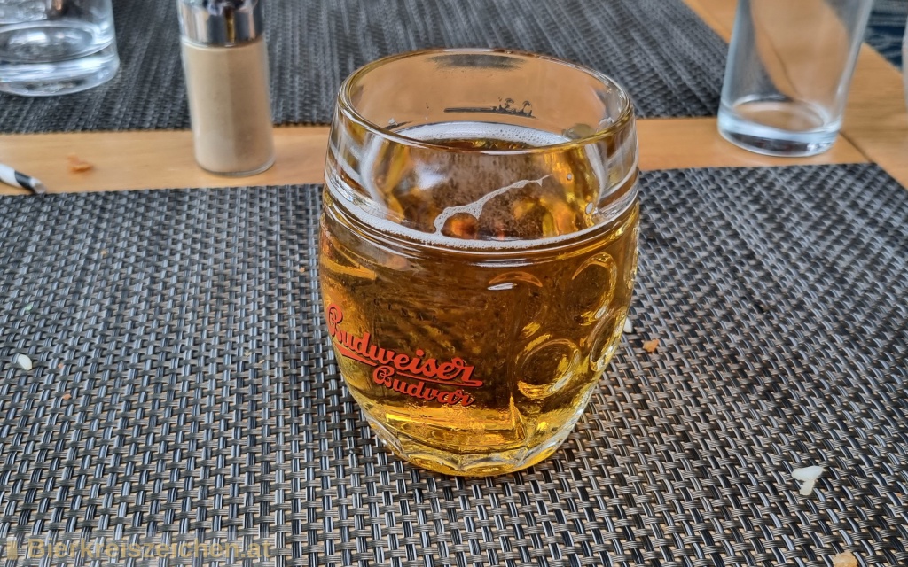Foto eines Bieres der Marke Budweiser Original aus der Brauerei Budweiser Budvar