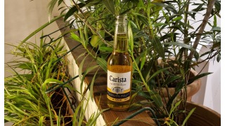 Bild von Carista