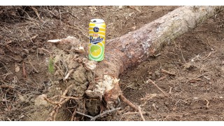 Bild von Ciuc Radler Lămie și Lime 1.9%