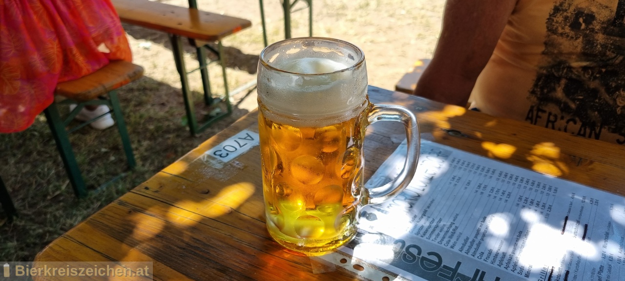 Foto eines Bieres der Marke Stiegl Goldbru aus der Brauerei Stieglbrauerei